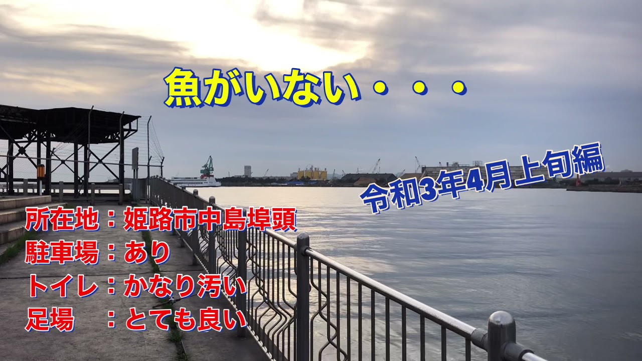 まだまだ姫路には魚がいない 姫路市 中島埠頭にある公園の海中撮影 Youtube