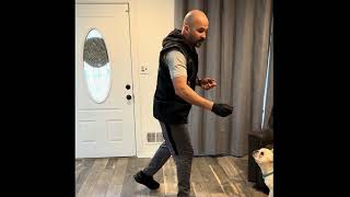 How to train my dog to go to his place when visitors knock ✊ on my door 🚪?