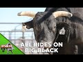 EVERY RIDER GOES 90 ON BIG BLACK | 2019
