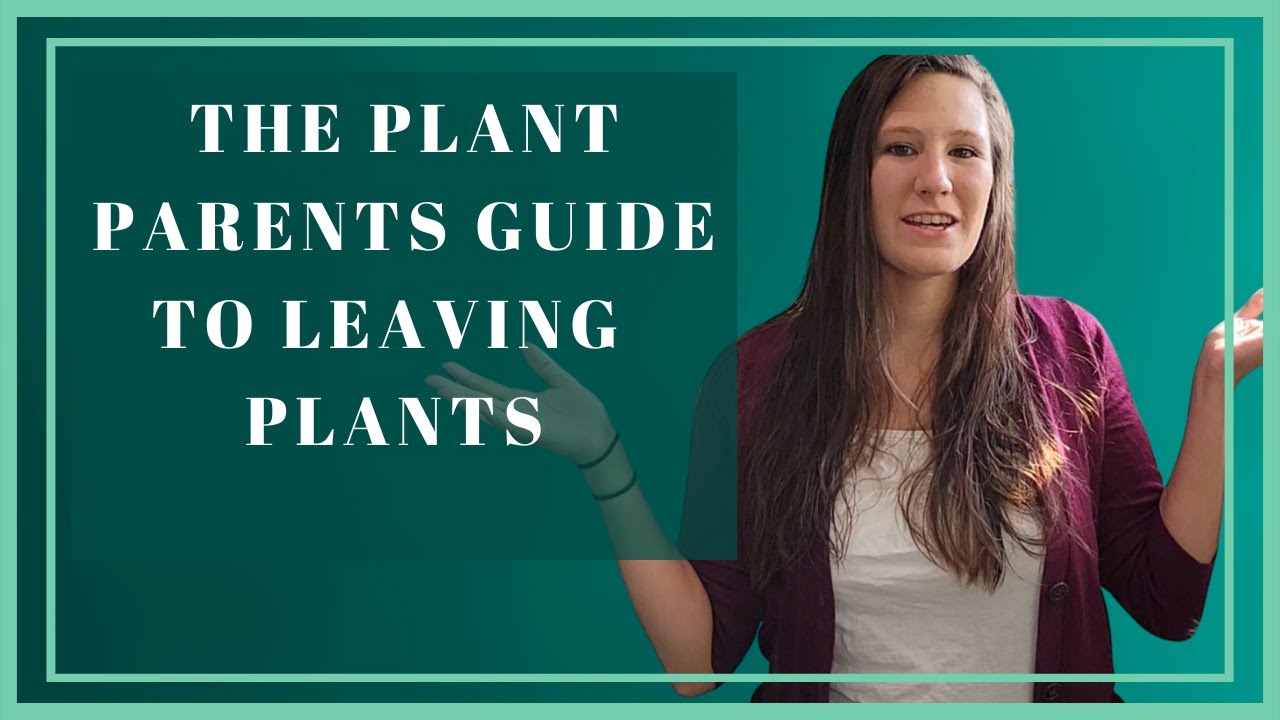 How to keep your plants alive while you are on vacation Actually enjoy your vacation. YouTube