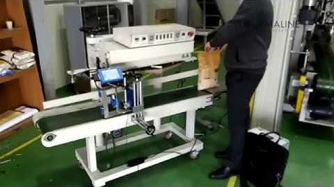 Sojet Elfin 1D - Sack Coding 1