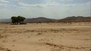algerian desert the adventure of elaniss photographe et fouad Bendjelloul