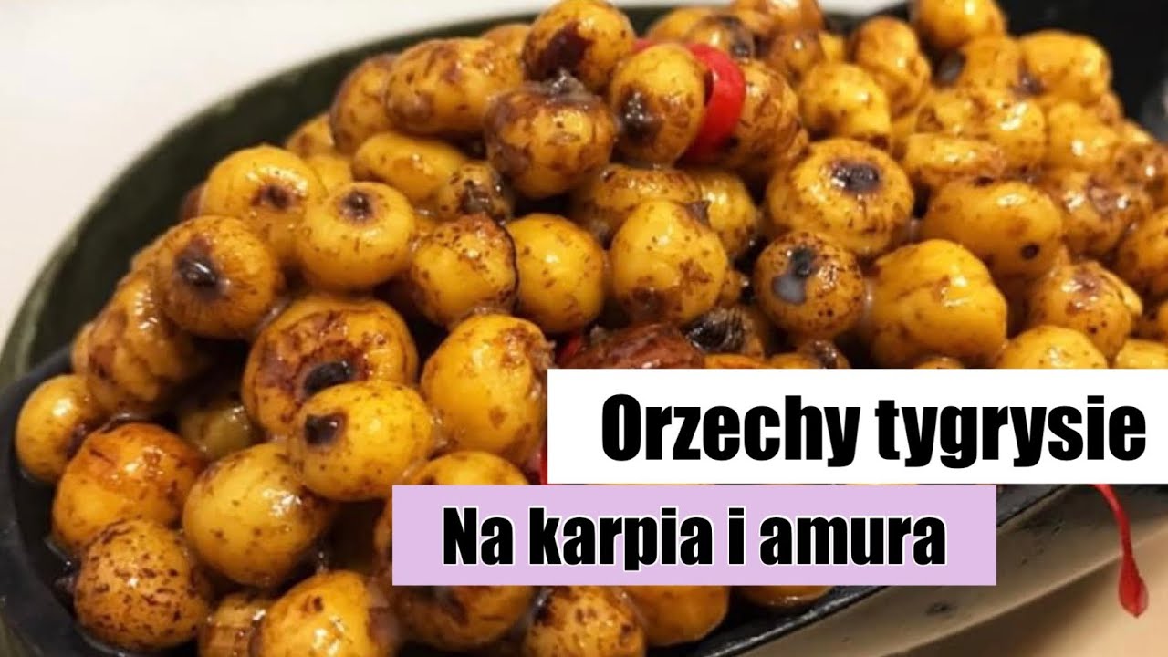 przynęta