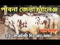 খামার উপযোগি ১০০% গির ষাড় বাচ্চা