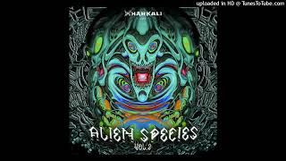 Download Lagu Balku \u0026 Opsuruus - Hammer Brains MP3 Download Lagu Balku \u0026 Opsuruus - Hammer Brains MP3