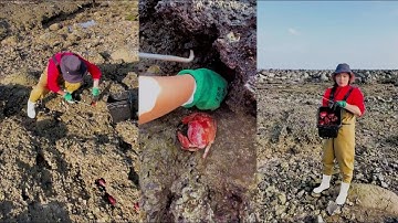 Catching crabs in a coastal fishing pond #catching #fishing #crab #hunting