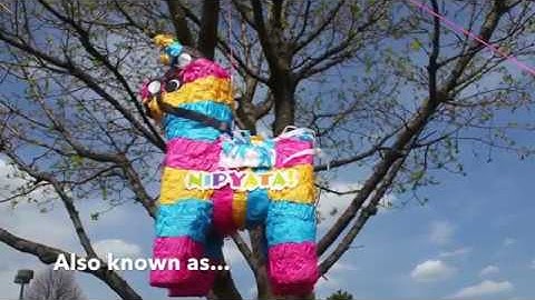 Nipyata: The Piñata with Booze!!