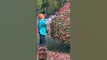 Máy Cắt Tỉa Cây Cảnh #garden