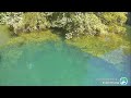 Homosassa Springs Above Water
