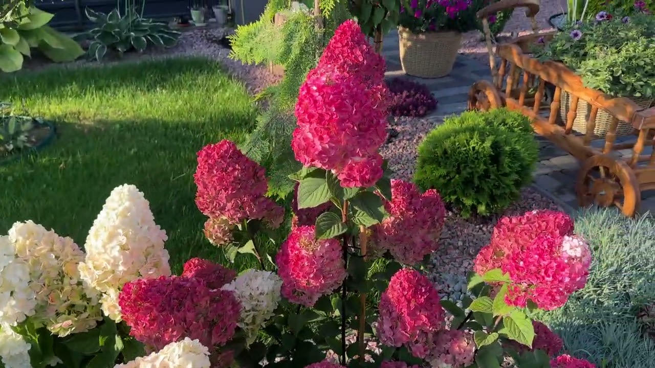 27.08.2025 року . Огляд садочка 