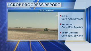 Crop Progress Report for Siouxland 5/12/2026