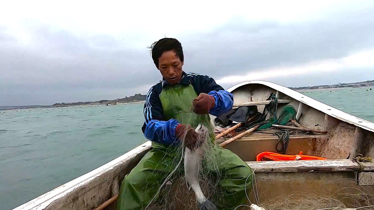 收两包鲈鱼网看看效果，抓到鱼拿回去就卖掉，再把后面的地整一下