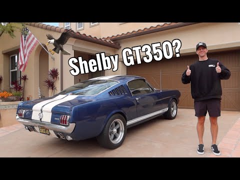 Buying a 1965 Ford Mustang Fastback!- Mint Condition!