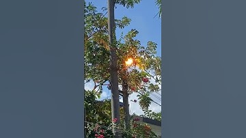 When Electricity Short Circuits Sparks Chaos #livewire #shortcircuit #dangerous #electricityissue