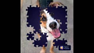 The puzzle of dog jigsaw app screenshot 3