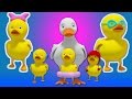 cinco patinhos | crianças de música | rima de berçário | Five Little Ducks | Kids Rhyme | Baby Song