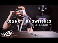 A Deep Dive into ROG RX & NX Switches | ROG