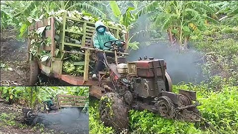 xe công nông 2 câu chở chuối đường lây lun cực kỳ khó khăn phân 1