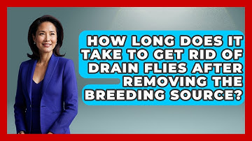 How Long Does It Take To Get Rid Of Drain Flies After Removing The Breeding Source?