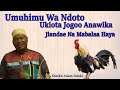 SHEIKH ABUU JADAWI UMUHIMU WA NDOTO UKIOTA JOGOO ANAWIKA JIANDAE NA MABALAA HAYA 