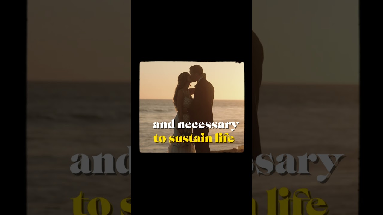 Wedding made into a Movie 