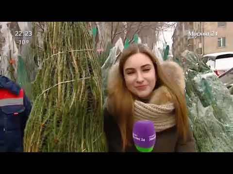 Где в Москве купить лучшую елку