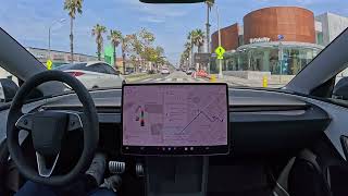 Rideshare Passenger Shocked by Self-Driving Tesla