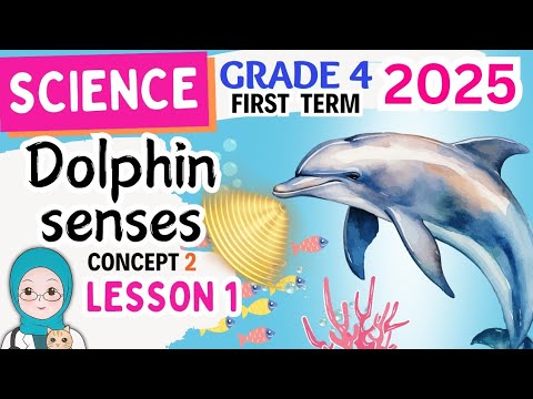 Science Grade 4 المنهج الجديد Dolphin Senses Concept 2 2025 ساينس رابعه ابتدائى الترم الاول Science Grade 4 المنهج الجديد Dolphin Senses Concept 2 2025 ساينس رابعه ابتدائى الترم الاول