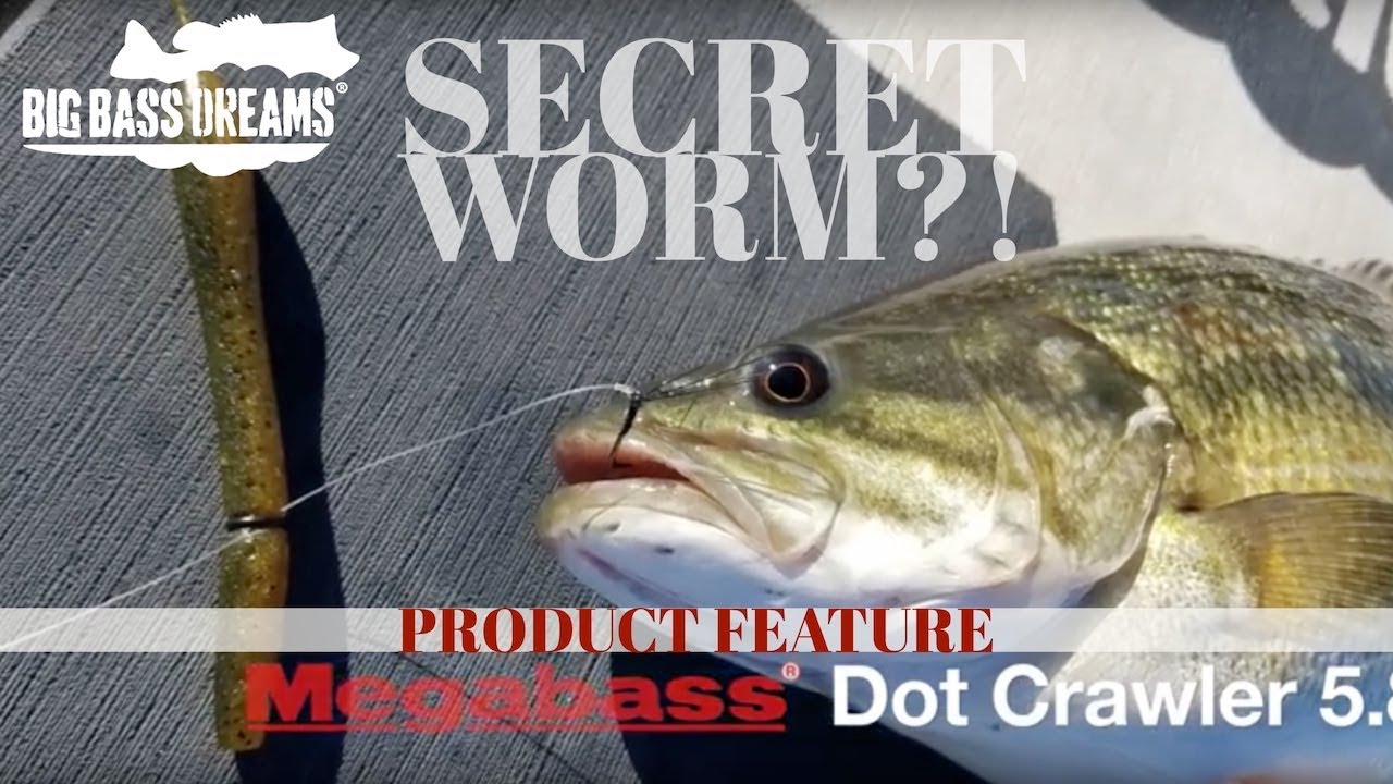 megabass vision 110 Fishing the Megabass 5.8 Dot Crawler