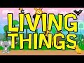 Characteristics and Actions of Living Things