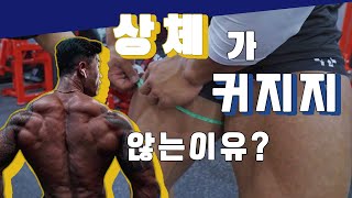 하체운동이 중요한 이유? 이것만 보고 따라하자 ! [하체운동 교과서]