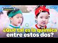[ESP/JPN] La química con mi hermano mayor😍 [ERDS ep.621] | KBS WORLD TV 260524