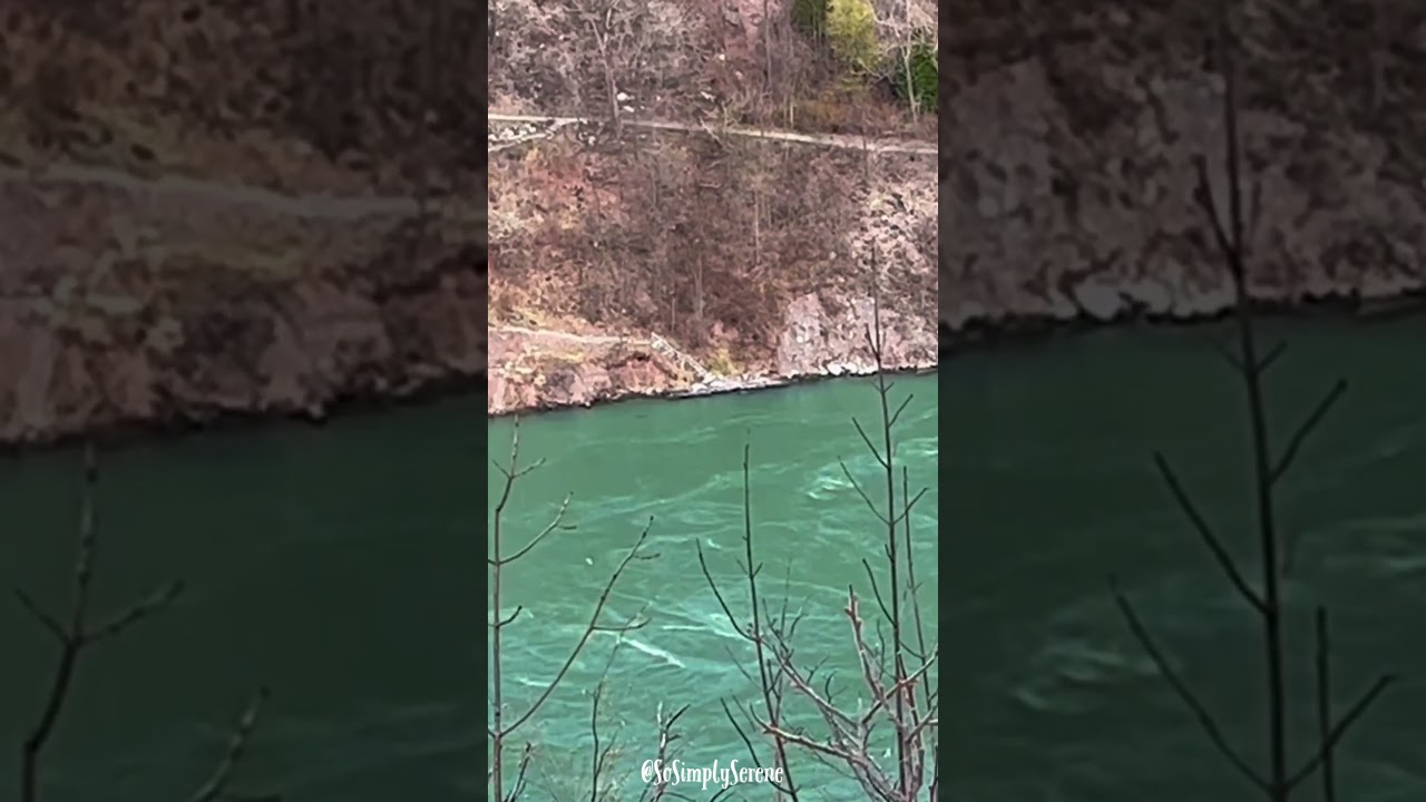 Turbulence Below and a Vulture at the End 💚🌀