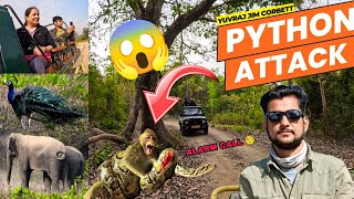 PYTHON NE KIYA MONKEY PR ATTACK 😱 #yuvrajjimcorbett #corbettnationalpark #safari