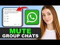 How to Mute a Group on WhatsApp in 2026