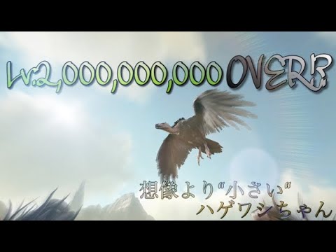 Ps4版ark ハゲワシのコマンド紹介 Youtube