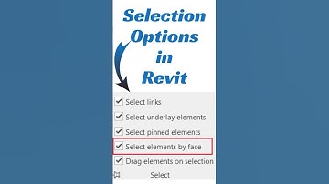 Selection options in Revit #shorts #revit #architecture #tutorial