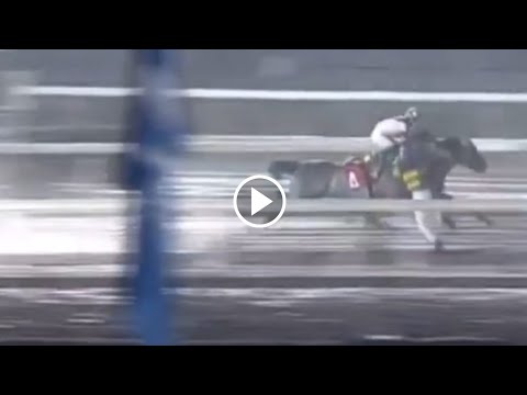 高知競馬 塚本雄大騎手が死去 25歳 24日のレースでバランスを崩し落馬