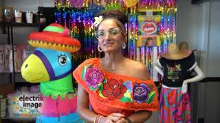 Electrik Image Spa - Cinco De Mayo Sale 2025 - Downriver Tanning - Monroe Tanning - Michigan Med Spa