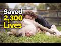 060: Juliana Castañeda Built Colombia’s First Farm Animal Sanctuary, Saving 2,300 Animals… So Far!