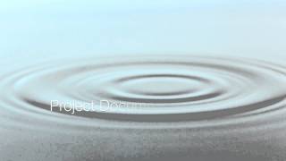 Enabling the Documentum Professional