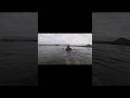 Long distance swimming #swimming #trending #lake #inspirtional #viralvideo #nature #workout#udaipur