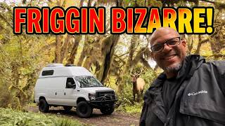 This Was So Friggin Bizarre! Van Life Got Creepy!