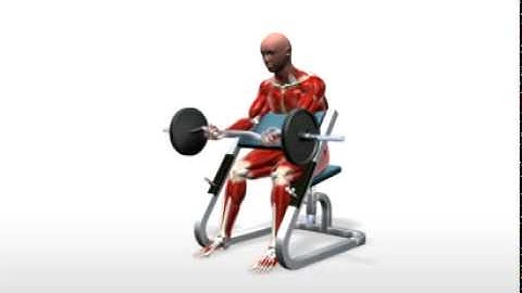 Exercise Videos- Preacher "Scott" Curl