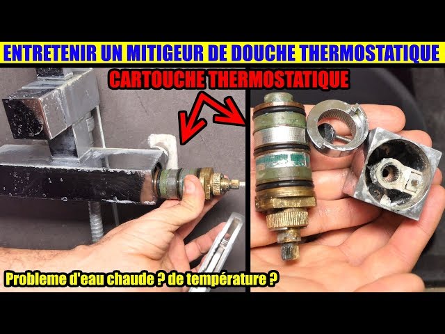 Cartouche thermostatique