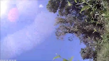 Knuckles H-quad Crash!!