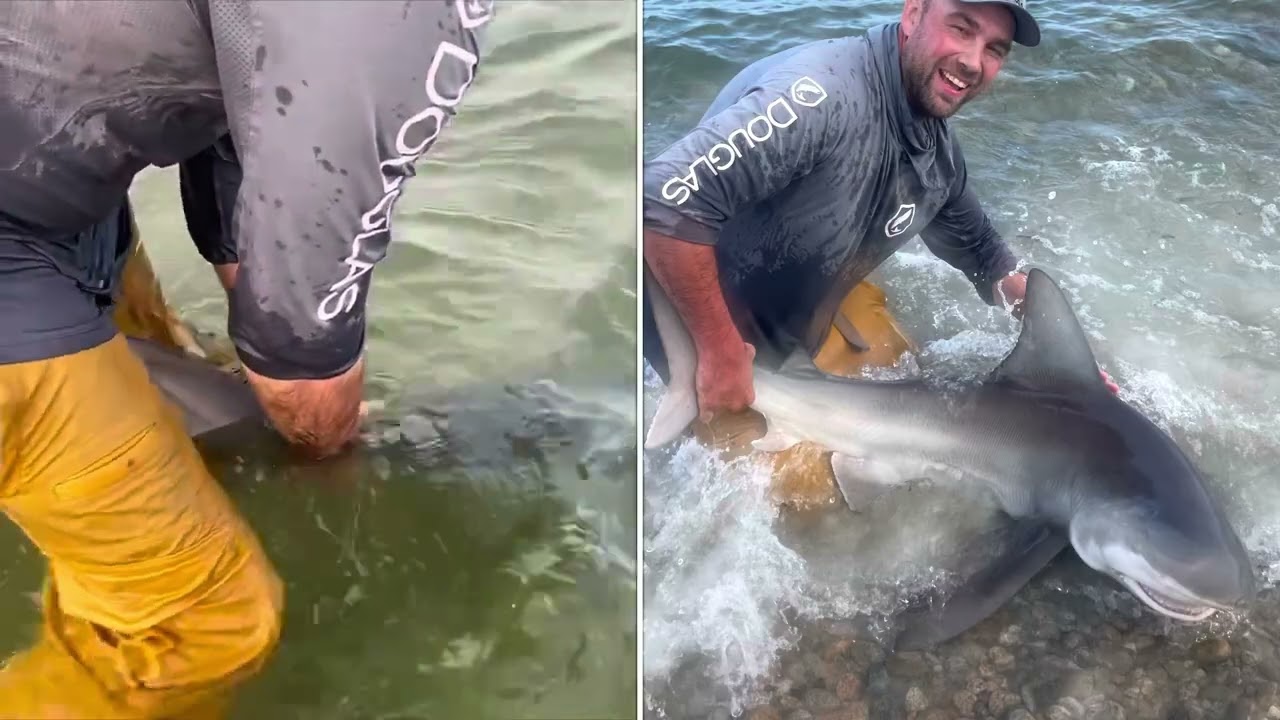 Land Based Shark Fishing Cape Cod