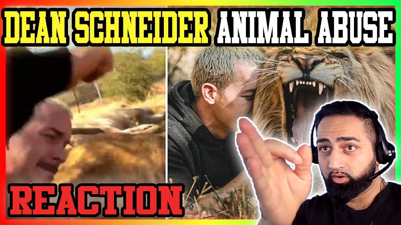 Nawo Reacts To ANIMAL ABUSER With Dean Schneider | Nawo Reaction