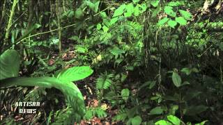 EX SEPULTURA DRUMMER TURNS EDM WITH MIXHELL - THE WAY (FULL VIDEO)