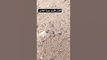 سورة اخلاص القرآن الكريم #اخلاص #تلاوات #السعودية #المغرب #الكويت